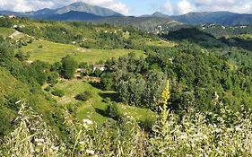 Agriturismo Il Burlino Apartments